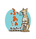 どうぶつ博士（個別スタンプ：13）