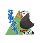 どうぶつ博士（個別スタンプ：18）