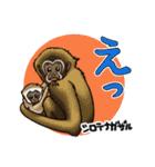 どうぶつ博士（個別スタンプ：23）