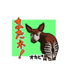 どうぶつ博士（個別スタンプ：27）