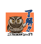 どうぶつ博士（個別スタンプ：29）
