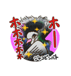 どうぶつ博士（個別スタンプ：39）