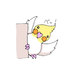 オカメインコのシロ（個別スタンプ：8）