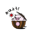 ぶたどんまんスタンプ（個別スタンプ：1）