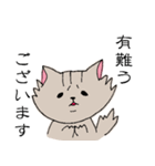 長毛猫カイミちゃん（個別スタンプ：1）