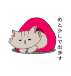 長毛猫カイミちゃん（個別スタンプ：4）