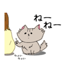 長毛猫カイミちゃん（個別スタンプ：5）