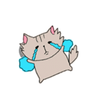 長毛猫カイミちゃん（個別スタンプ：13）