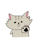 長毛猫カイミちゃん（個別スタンプ：19）