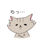長毛猫カイミちゃん（個別スタンプ：20）