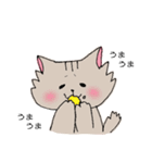 長毛猫カイミちゃん（個別スタンプ：25）