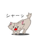 長毛猫カイミちゃん（個別スタンプ：30）