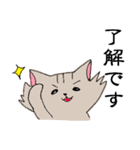 長毛猫カイミちゃん（個別スタンプ：37）