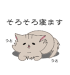 長毛猫カイミちゃん（個別スタンプ：39）