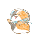 Fishbowl Hamster（個別スタンプ：15）