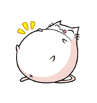 伸びネコ（個別スタンプ：40）