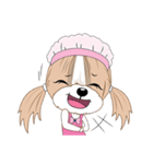 Shih Tzu YoYo（個別スタンプ：10）