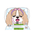 Shih Tzu YoYo（個別スタンプ：19）