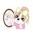 Shih Tzu YoYo（個別スタンプ：20）