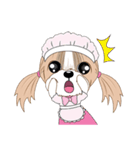 Shih Tzu YoYo（個別スタンプ：24）