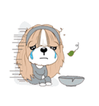 Shih Tzu YoYo（個別スタンプ：27）