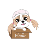 Shih Tzu YoYo（個別スタンプ：31）