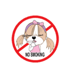 Shih Tzu YoYo（個別スタンプ：35）