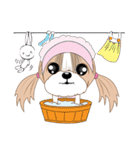 Shih Tzu YoYo（個別スタンプ：39）