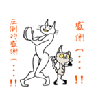 上目遣い猫とシニー（個別スタンプ：5）