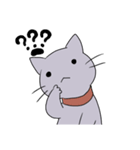 Funny cat 's face（個別スタンプ：30）