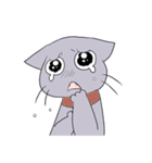 Funny cat 's face（個別スタンプ：33）