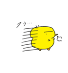 ピヨコ日和（個別スタンプ：8）