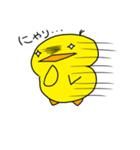 ピヨコ日和（個別スタンプ：10）
