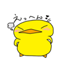 ピヨコ日和（個別スタンプ：19）