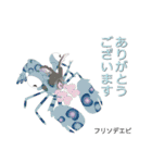 なんちゃってお魚図鑑 No.2（個別スタンプ：1）