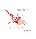なんちゃってお魚図鑑 No.2（個別スタンプ：2）