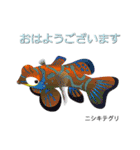 なんちゃってお魚図鑑 No.2（個別スタンプ：13）
