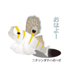 なんちゃってお魚図鑑 No.2（個別スタンプ：14）