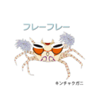 なんちゃってお魚図鑑 No.2（個別スタンプ：26）