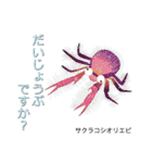 なんちゃってお魚図鑑 No.2（個別スタンプ：29）