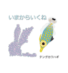 なんちゃってお魚図鑑 No.2（個別スタンプ：34）