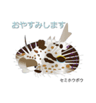 なんちゃってお魚図鑑 No.2（個別スタンプ：35）