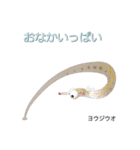 なんちゃってお魚図鑑 No.2（個別スタンプ：39）