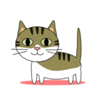 サバトラ美猫のコタ（個別スタンプ：1）