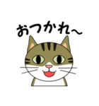 サバトラ美猫のコタ（個別スタンプ：2）