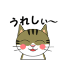 サバトラ美猫のコタ（個別スタンプ：3）