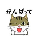 サバトラ美猫のコタ（個別スタンプ：5）