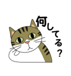 サバトラ美猫のコタ（個別スタンプ：24）