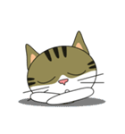 サバトラ美猫のコタ（個別スタンプ：26）