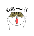 サバトラ美猫のコタ（個別スタンプ：32）